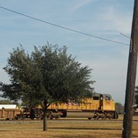 Profile Image for Andre Noel.