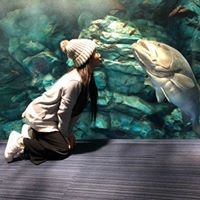 新完全マスター読解 日本語能力試験N2 by 田代ひとみ | Goodreads