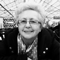 Profile Image for diane simmonds.