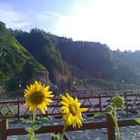 Profile Image for Maria.