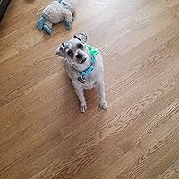 Profile Image for Lacey.