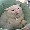 Rikhard Von Katzen