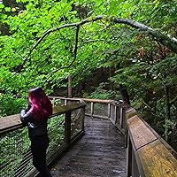 The Illustrated Kitchen Bible by Victoria Blashford-Snell | Goodreads