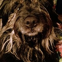 Profile Image for Olga.