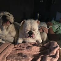 Profile Image for Amy.