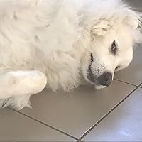 Profile Image for Elle.