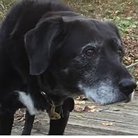 Profile Image for Allison.