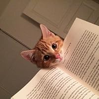 Profile Image for bootsandcats.