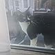 Olly Mogs