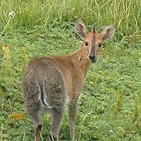 Profile Image for Brandon.