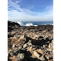 Profile Image for Maya.