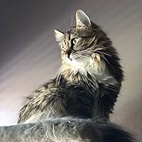 Profile Image for Pamela.