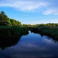 The Host and The Parasite: How Israel's Fifth Column Consumed