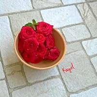 Profile Image for Kayalvizhi.