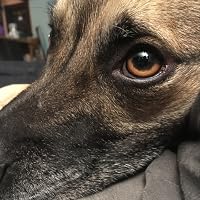 Profile Image for SuperReader.
