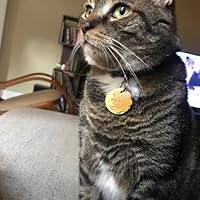 Profile Image for Amy.