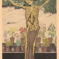 Anna Sherling yalangoch