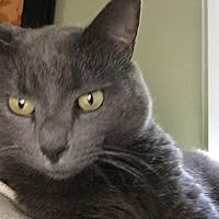 The Cat Who Tailed a Thief (Cat Who, #19) by Lilian