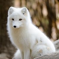 Profile Image for Jeanne.