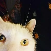 Profile Image for Becky.