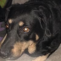 Profile Image for ren.