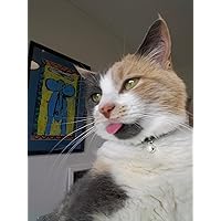 Libro: Sounds Appealing - La Storia Appassionante Della Pronuncia Inglese - Foto 10