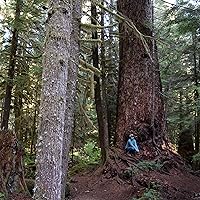 The Final Forest: The Battle for the Last Great Trees of the Pacific ...