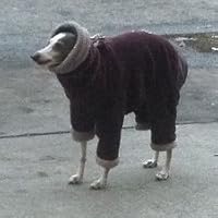 panpanya　既刊 91nHZlusZpL.jpg