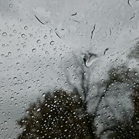 Profile Image for Rainwater.