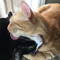 Profile Image for Shannon.