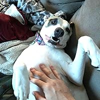 Profile Image for Phil.