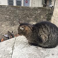 Actors and American Culture, 1880-1920 by Benjamin McArthur