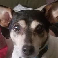 Profile Image for Sandra K. Schroeder.