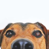 Profile Image for Daisy.