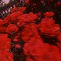 Profile Image for Christine.