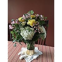 Profile Image for Ali.