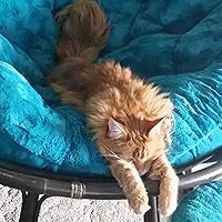 Profile Image for Griffin.