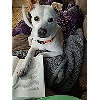 Profile Image for Elyse.