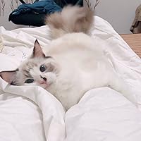 Profile Image for Hui.