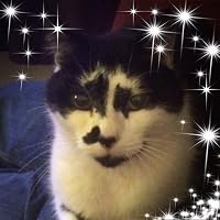 Profile Image for Sarah Jacobs.
