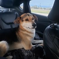 Profile Image for poopdick.
