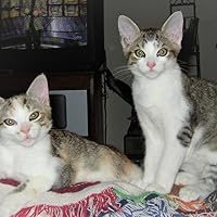 Profile Image for Tracy.