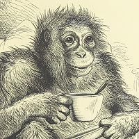 Profile Image for Scott.