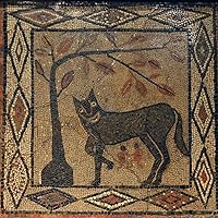 Profile Image for Evan.