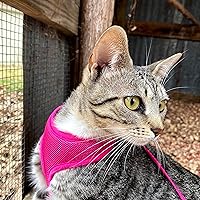 Profile Image for Dee Dee.