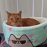 Profile Image for Abbey Thompson.