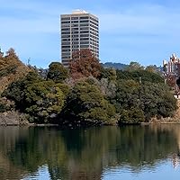 Profile Image for Lori Lymore-Cross.