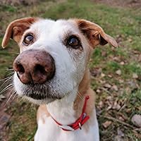 Profile Image for Phoebe.