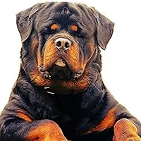 Profile Image for Incredible  Opinions.