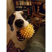 Profile Image for Sean Anderson.